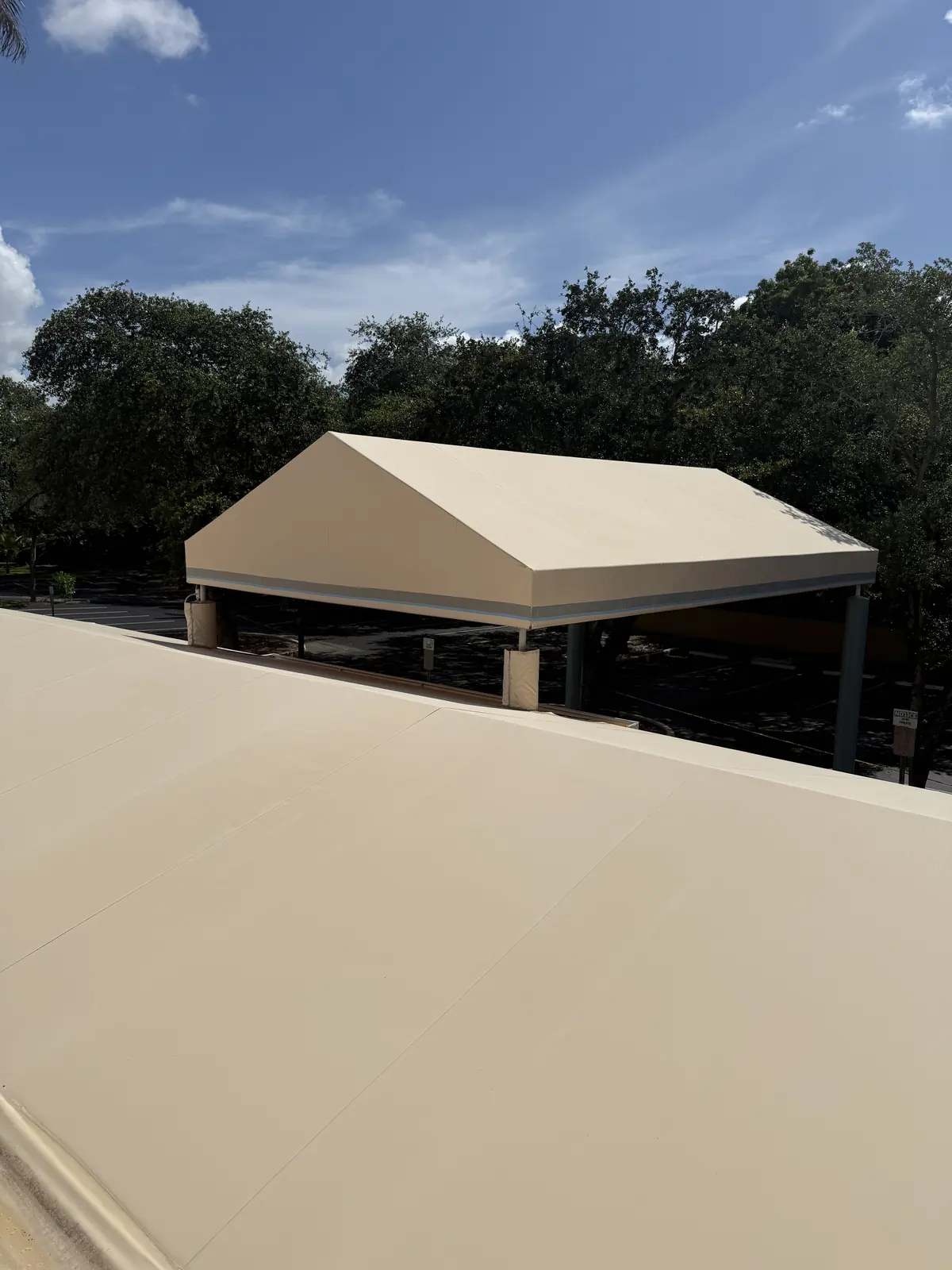 Roof soft wash after, Tile roof, residential