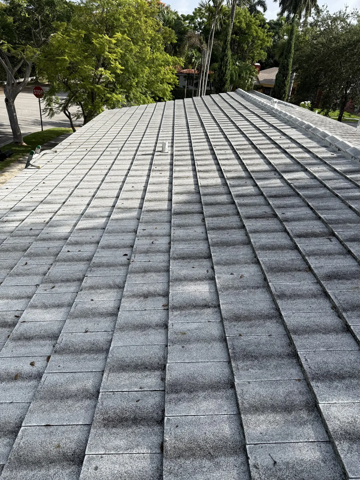 Flat tile roof heavily stained before soft washing