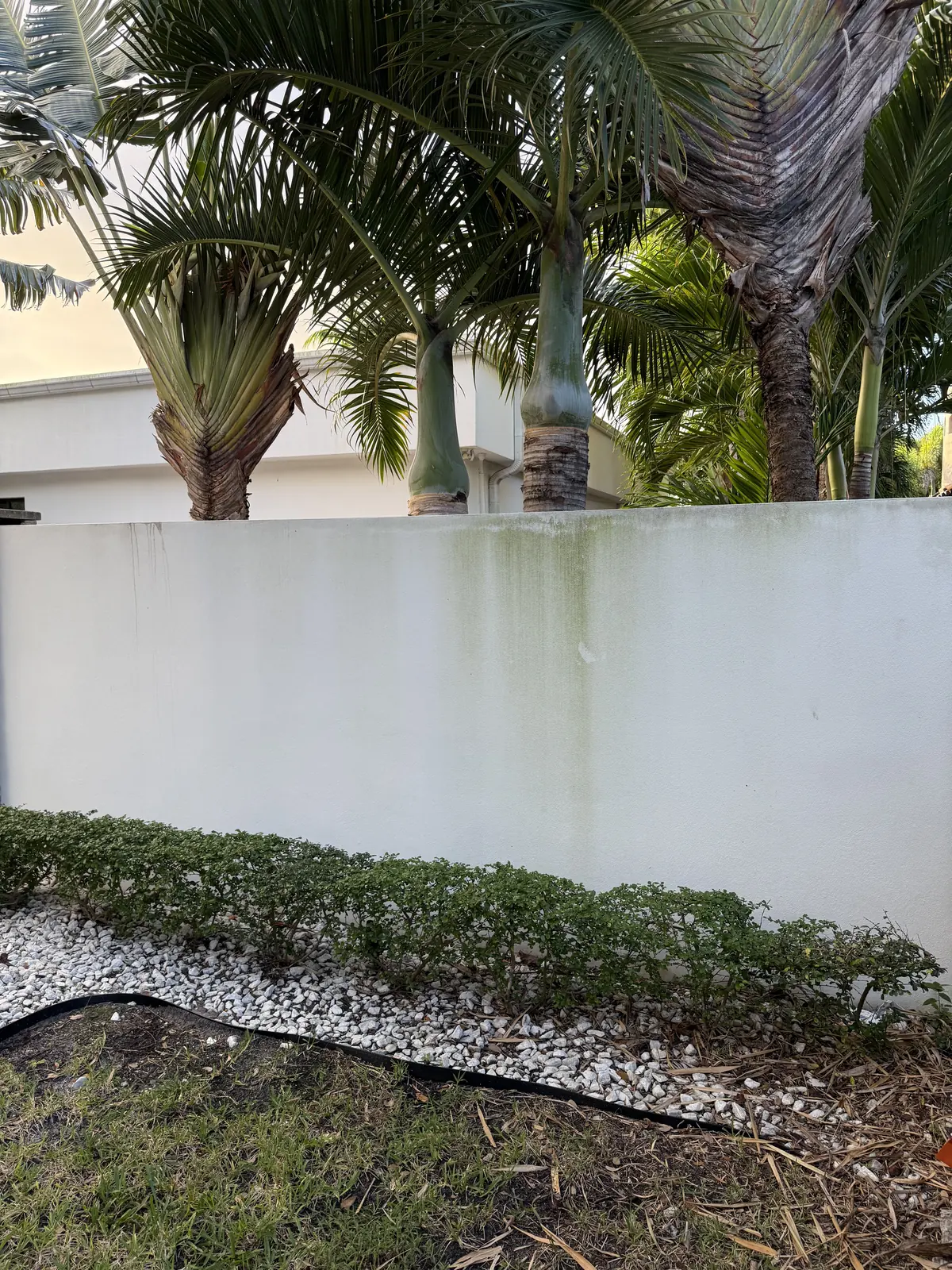 Painted perimeter wall stained before soft washing